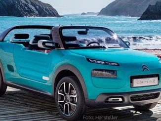 CactusMAußenHellblau09.09.15