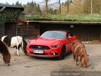 Ford-Mustang-GT-Cabrio-Außen4)-Front-Seite-Rot-Ponyhof---Michael-Neher--09.04.16.JPG